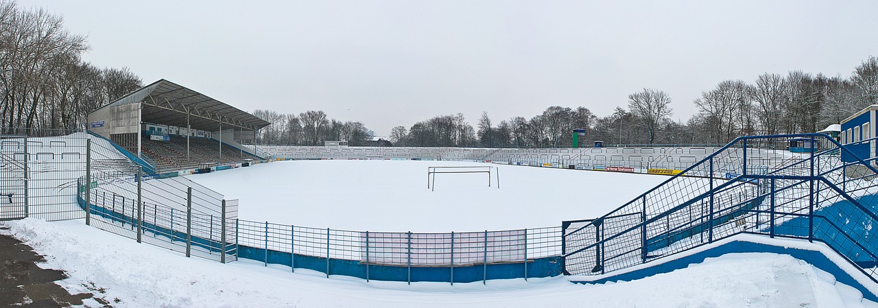 雪项目的关